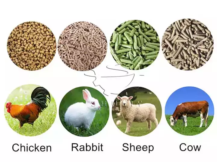 Alimentación animal hecha por máquina de pellets para alimentación animal.