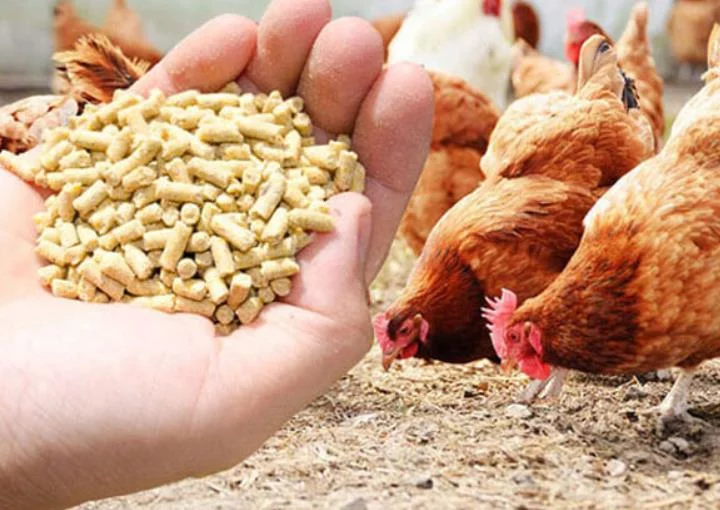 poultry feed pellet-2