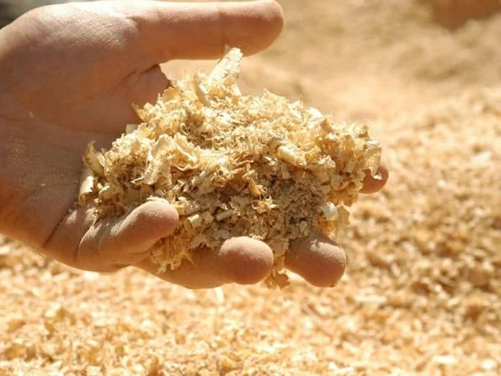dried sawdust